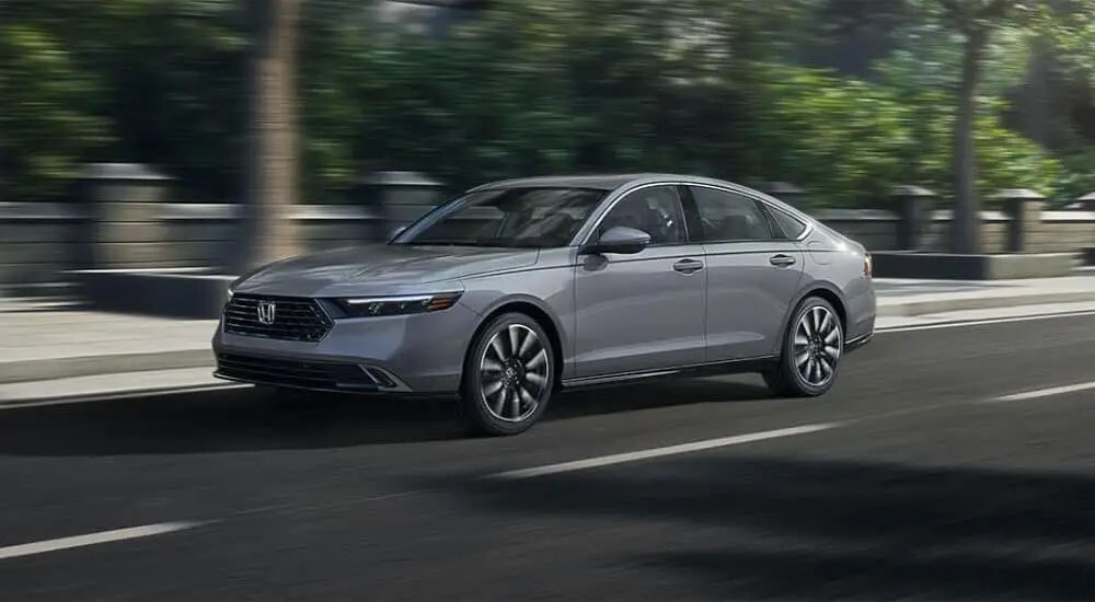 ACCORD (CY) 2023-2024