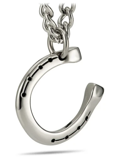 Woman's Stainless Horseshoe Nail Cross / Horseshoe Combo Necklace - John 19:30 / 1 Corinthians 16:13
