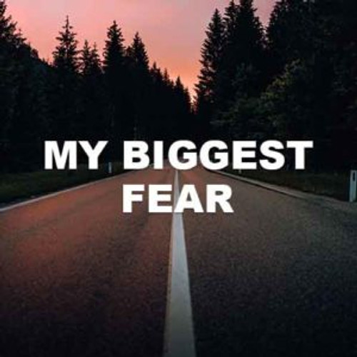 Confronting My Biggest Fear Personal Reflections