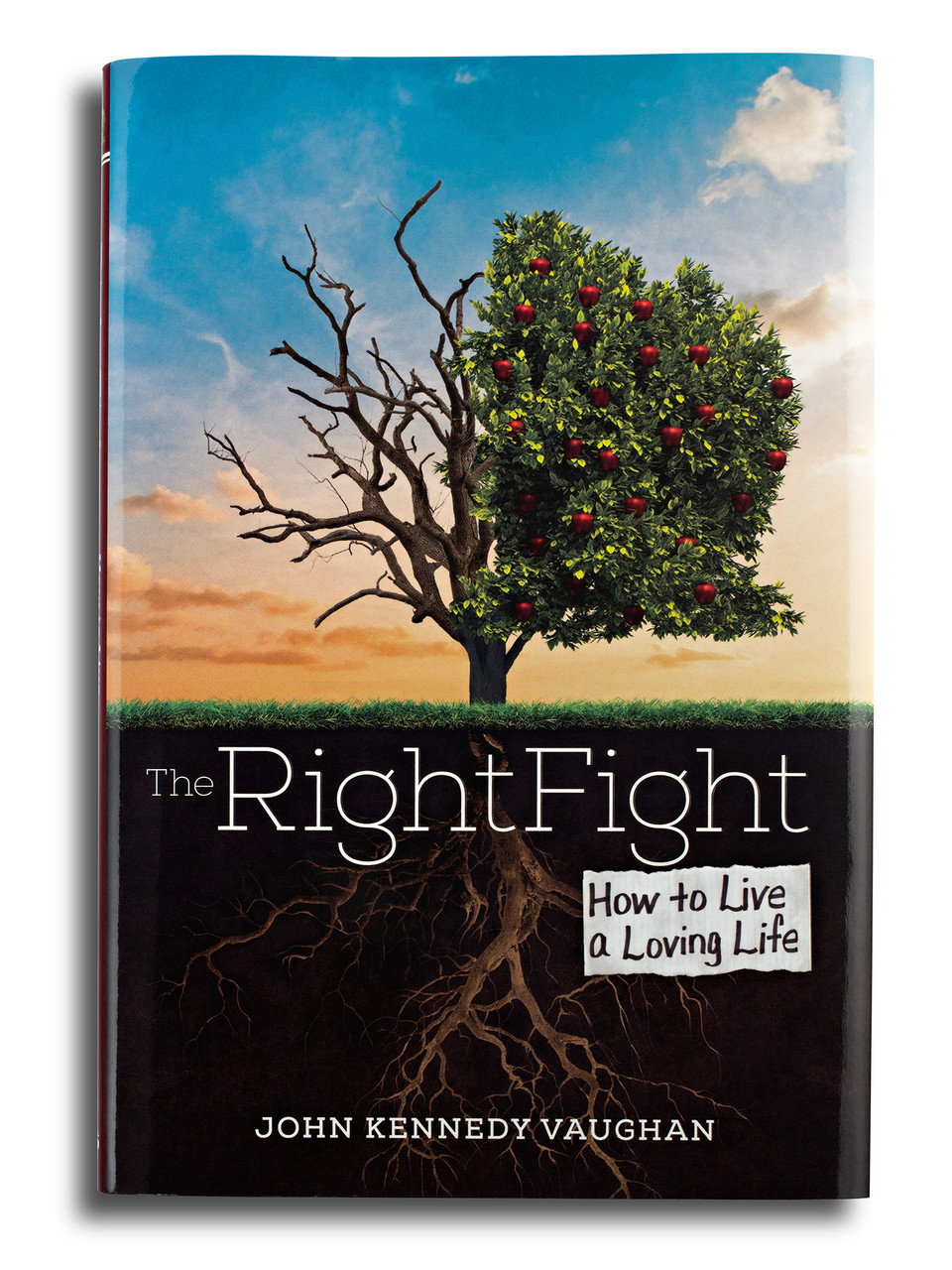 The Right Fight, How to Live a Loving Life - by Kenny Vaughan