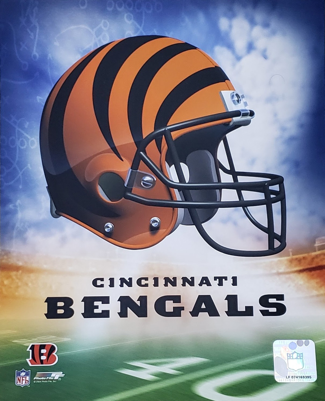 Cincinnati Bengals NFL Helmet Logo Photo - 8' x 10'