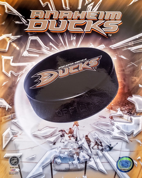 Anaheim Ducks NHL Logo Photo - 8" x 10"