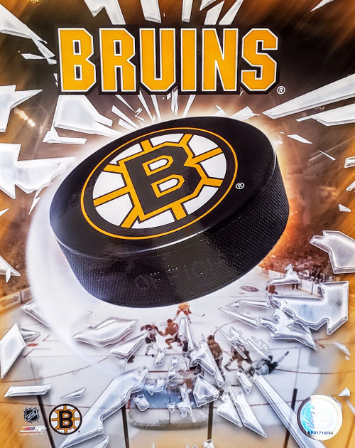 Boston Bruins NHL Logo Photo Print (8" x 10") - Gold & Black Cracked Ice