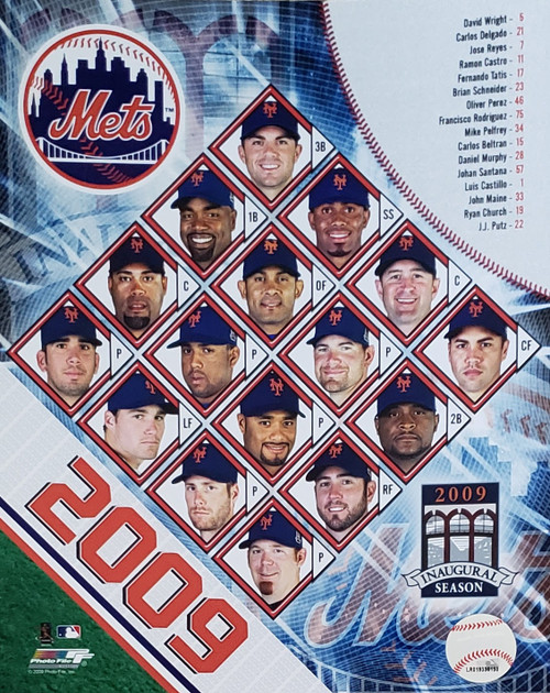 New York Mets MLB 2009 Player Collage Photo