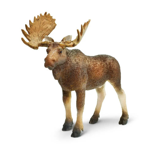 Bull Moose Toy Animal Figure - Wild Animals