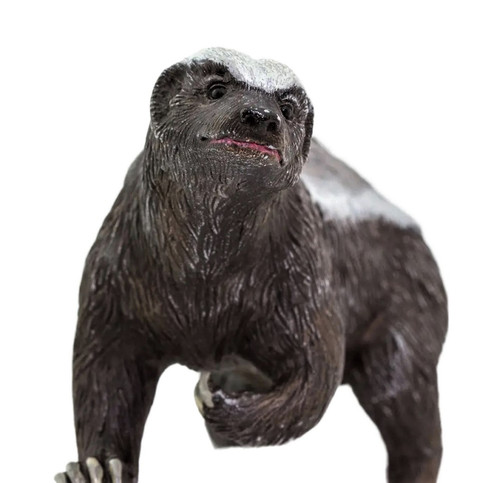 Honey Badger Toy Animal Figure - Wild Animals