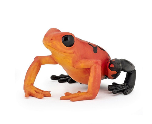 Equatorial Red Frog Toy Animal Figure - Wild Animal Kingdom Equatorial Red Frog Toy Animal Figure - Wild Animal Kingdom