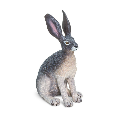 American Desert Hare Toy Animal Figure - Wild Animals