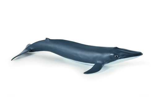 Blue Whale Calf Toy Animal Figure - Marine Life