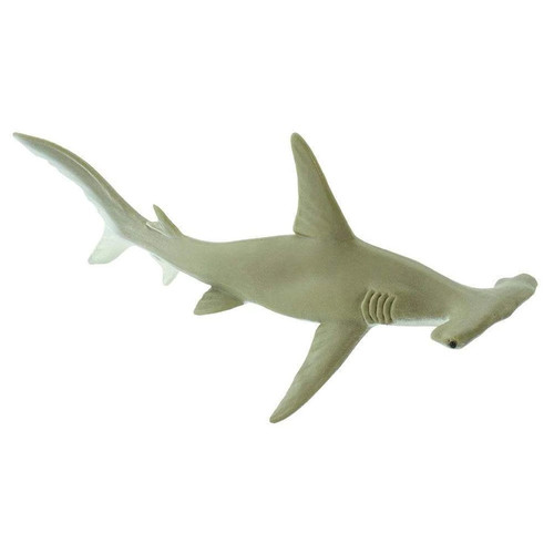 Hammerhead Shark Toy Animal Figure - Sea Life