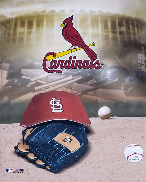 St Louis Cardinals MLB Logo Photo Print