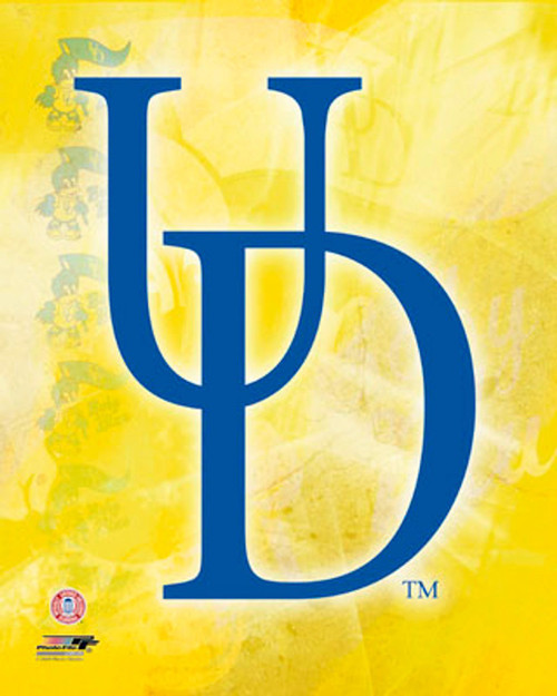 Delaware Fighting Blue Hens NCAA Logo Photo - 8" x 10"