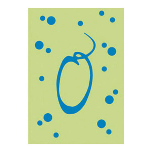 O Monogram Green Blue Polka Dot House Flag Banner