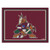 Arizona Coyotes 8' x 10' Ultra Plush Area Rug