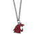 Washington State Cougars Chain Necklace with Small Charm