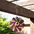 Washington Redskins NFL 4.5" 3D Spectrum Spinner - Outdoors hanging from a porch covering