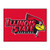 Illinois State Red Birds All Star Mat