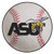 Alabama State Hornets Baseball Mat