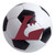 Wisconsin La Crosse Eagles Soccer Ball Mat