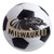 Wisconsin Milwaukee Panthers Soccer Ball Mat