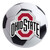 Ohio State Buckeyes Soccer Ball Mat