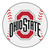 Ohio State Buckeyes NCAA Baseball Mat