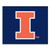 Illinois Fighting Illini NCAA Tailgater Mat