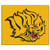 UAPB - Arkansas Pine Bluff Golden Lions Tailgater Mat