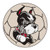 Boston University Terriers Soccer Ball Mat