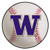 Washington Huskies Baseball Mat