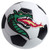 UAB - Alabama at Birmingham Soccer Ball Mat