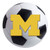 Michigan Wolverines  Soccer Ball Mat