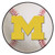 Michigan Wolverines Baseball Mat