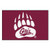 Montana Grizzlies Mat