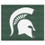 Michigan State Spartans NCAA Tailgater Rug Mat