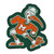 Miami Hurricanes Mascot Mat