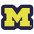 Michigan Wolverines Mascot Mat