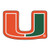 Miami Hurricanes Mascot Mat - Logo