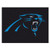 Carolina Panthers All Star Mat