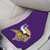 Minnesota Vikings 2-piece Carpet Car Mat Set