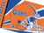 Florida Gators Logo Flag