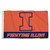 Illinois Fighting Illini NCAA Wordmark Logo Flag