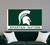 Michigan State University NCAA Spartan Nation Logo Flag