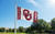 Oklahoma Sooners NCAA 3' x 5' Logo Flag - Outdoors on a Flag Pole