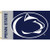 Penn State Nittany Lions NCAA Wordmark Logo Flag