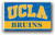 UCLA Bruins NCAA Wordmark Flag