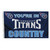 Tennessee Titans 3 Ft X 5 Ft Flag Titans Country