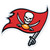 Tampa Bay Buccaneers NFL Large Decal