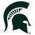 Michigan State Spartans Large Auto Decal