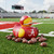 Alabama Crimson Tide Football All Star Rubber Duck Toy - Displayed on a football field
